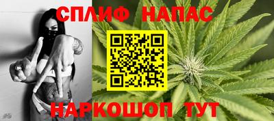 гидра Будённовск