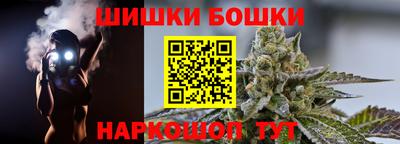 гидра Будённовск