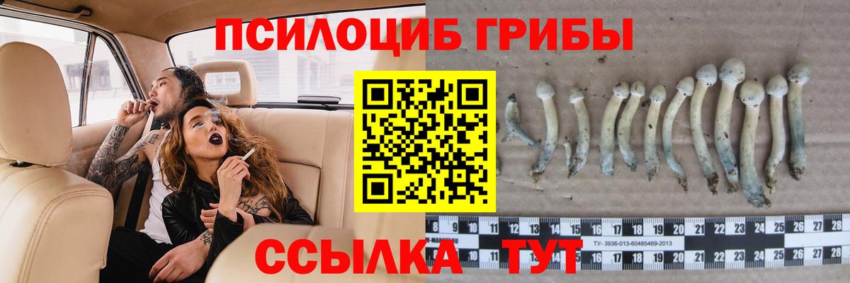 LSD-25 Мурино