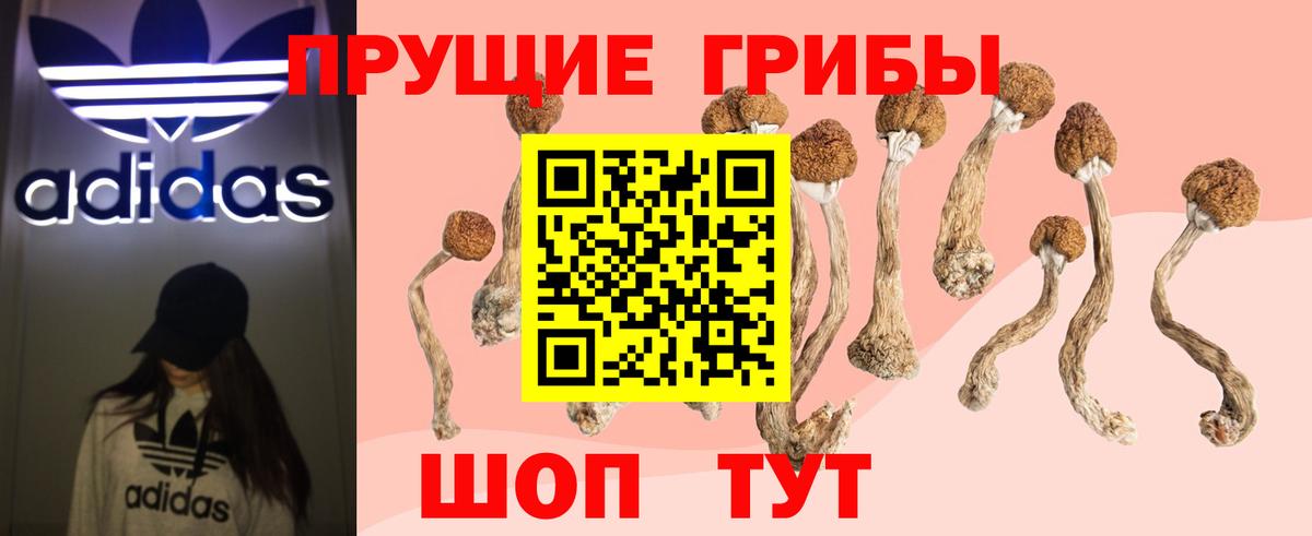 Мурино  Галлюциногенные грибы Psilocybe  Псилоцибиновые грибы GOLDEN TEACHER  Вход с VPN 